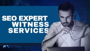Illustration of SEO Expert Witness Services