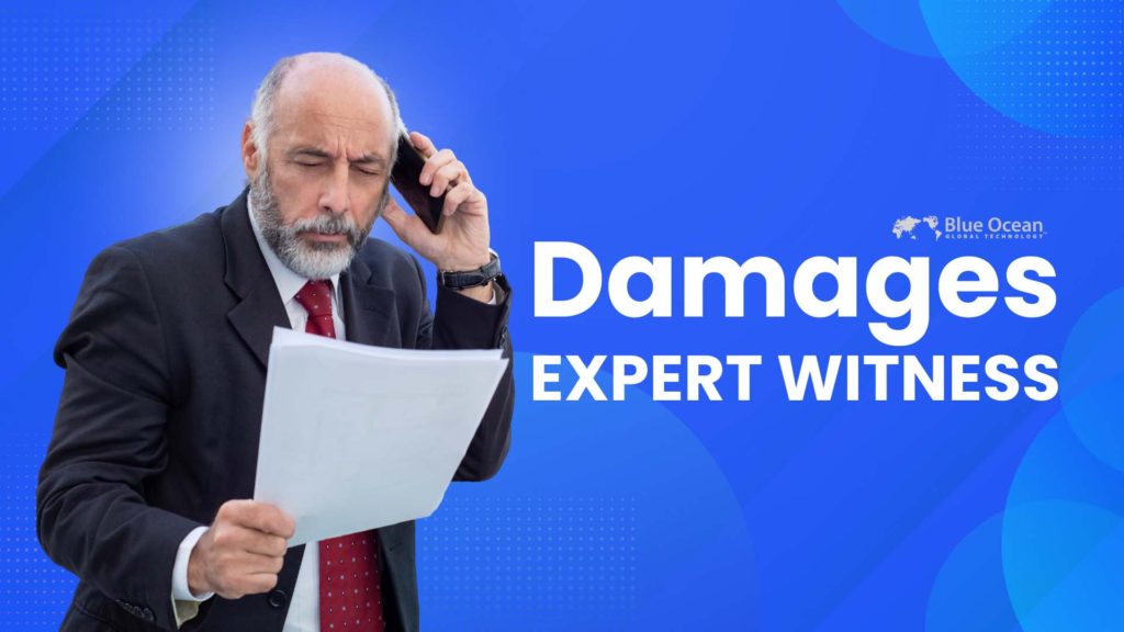 Damages-expert-witness