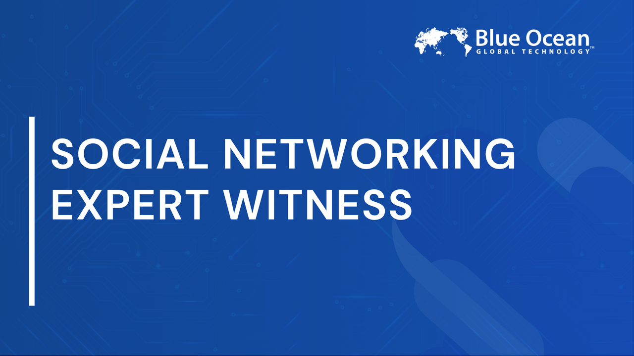 Social Networking Expert Witness |  Role, Value, and Practice