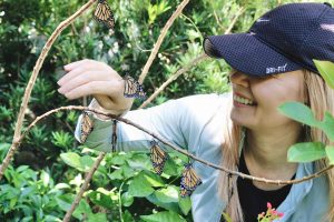 At her Florida home, Tarja has raised and released over 300 Monarch butterflies.